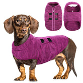 Queenmore small dog sweater back view showing leash hole for secure walks