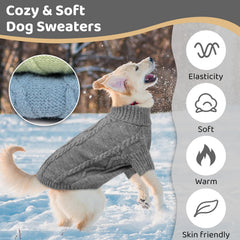 Queenmore small dog winter outfit on a pup ready for cold days