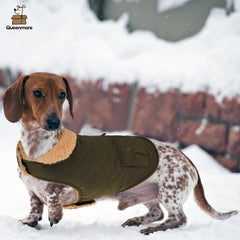Queenmore warm coat dog back pocket detail highlights storage for snacks and bags.