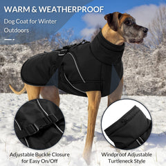 Queenmore winter dog coat waterproof-windproof fabric keeps dogs dry.