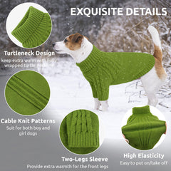 Queenmore XL dog sweater turtleneck-full-sleeve wear demonstrates full chest and belly coverage