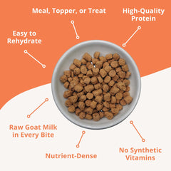 Quest cat food freeze-dried pork close-up demonstrates ready-to-rehydrate raw nutrition for cats.