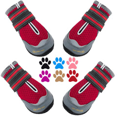 QUMY dog boots pack protects paws during outdoor adventures.