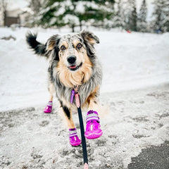 QUMY dog shoes adjustable-strap-fit ensure easy on off and secure seasonal wear.