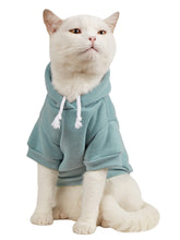QWINEE Basic dog hoodie cadet blue front view for daily warmth