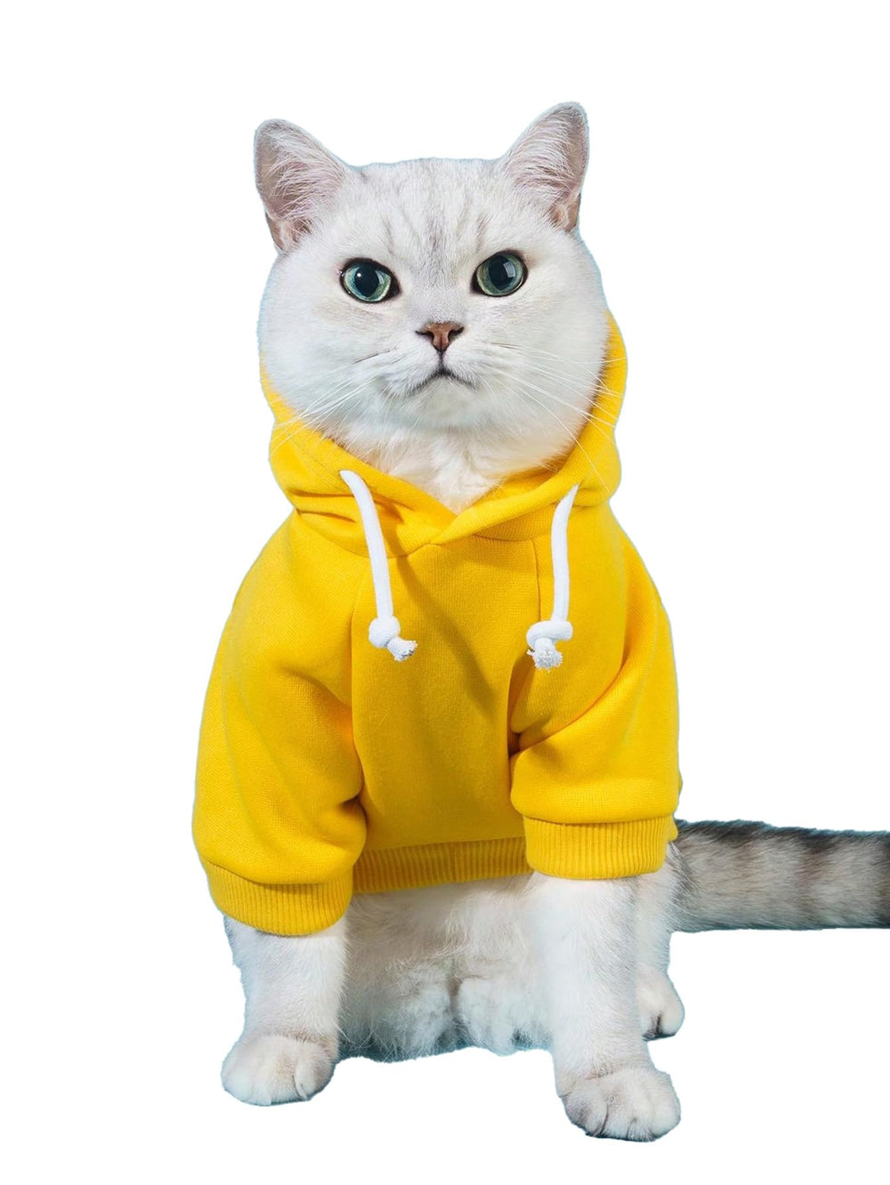 QWINEE Basic dog hoodie front view shows bright yellow warmth for chilly walks.