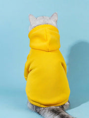 QWINEE Basic hoodie detail highlights stretchy fabric for easy on/off comfort.