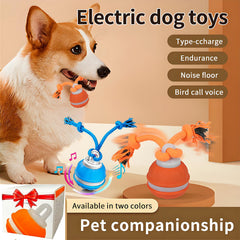 QZTRGDW Juguete automático: movimiento continuo para perros ocupados.
