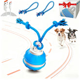 QZTRGDW Pelota interactiva para perros: estimulación y juego activo.