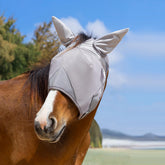 Raalitego máscara anti moscas para caballos con ajuste seguro para entrenamientos.