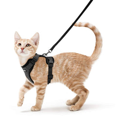 Rabbitgoo arnés para gato con ajuste de chaleco cómodo para paseo
