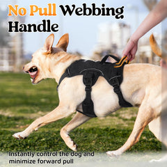 Rabbitgoo back D-ring and reflective strips enhance safety during evening strolls.