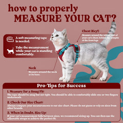 Rabbitgoo cat harness adjustable-straps show customizable fit for a range of cat shapes and sizes