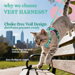 Rabbitgoo cat harness back D-ring provides secure control for confident outdoor walks