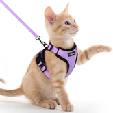 Rabbitgoo cat harness back D-ring provides secure leash control for outdoor walks.