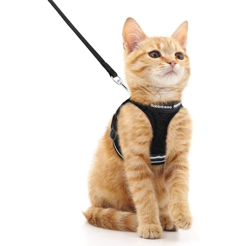Rabbitgoo cat harness full view shows secure outdoor fit for walks