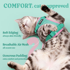 Rabbitgoo cat harness reflective strips boost visibility for safer walks day and night