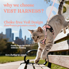 Rabbitgoo cat harness with reflective strips for visibility day and night.