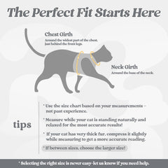 Rabbitgoo cat harness vest soft-edged fabric for gentle wear.