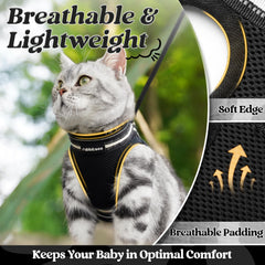 Rabbitgoo cat leash 59 inch length supports safe exploration
