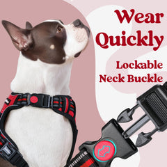 Rabbitgoo harness adjustable straps provide a comfortable, flexible fit for growing dogs.
