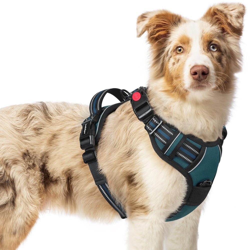 Rabbitgoo dog harness blue coral three-buckle design enables quick on-off