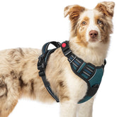 Rabbitgoo dog harness blue coral three-buckle design enables quick on-off