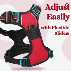 Rabbitgoo dog harness control handle enables confident lifting and quick control.