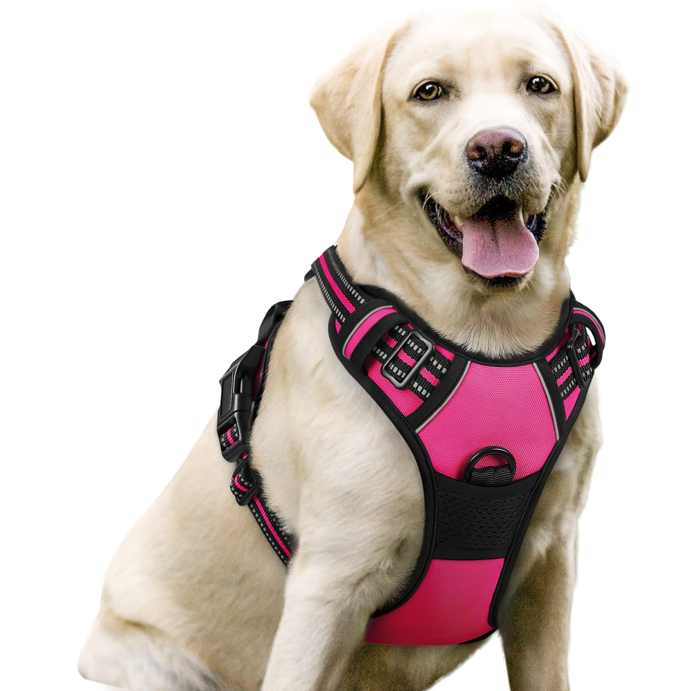 Rabbitgoo dog harness hot pink front view improves visibility during daily walks.