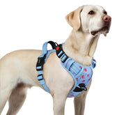 Rabbitgoo large floral blue dog harness with adjustable straps for a secure fit.