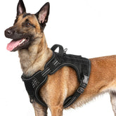 Rabbitgoo dog harness with front-clip for no-pull training and improved control.