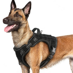 Rabbitgoo dog harness with front-clip for no-pull training and improved control.