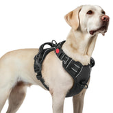 Rabbitgoo dog harness large no-pull front view supports controlled walks.