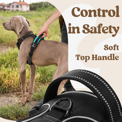 Rabbitgoo reflective stitching boosts nighttime visibility for safer strolls.