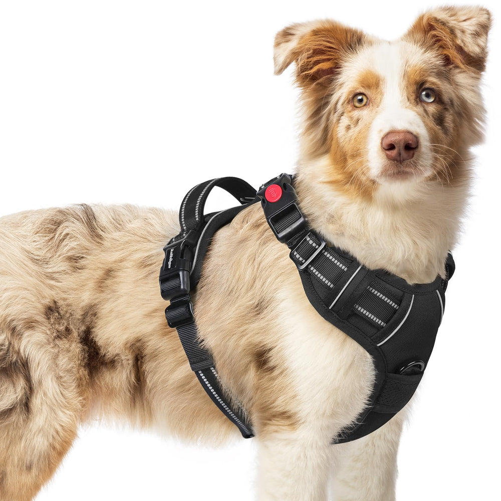 Rabbitgoo dog harness shows no-pull design with 3 buckles for quick on/off during walks.