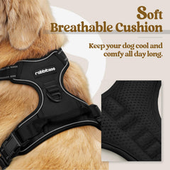 Rabbitgoo No-Pull harness back view showing back clip for casual walks