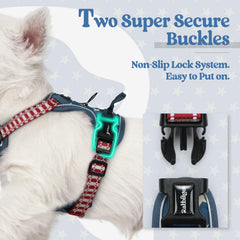 Rabbitgoo back-clip harness blue star XS for casual walks and jogging.