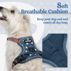Rabbitgoo No-Pull chest-clip harness blue star XS reduces pulling during walks.