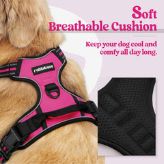 Rabbitgoo no-pull chest-clip harness reduces pulling during training sessions.