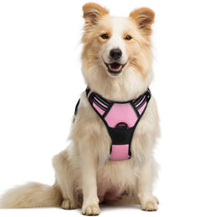 Rabbitgoo dog harness front-clip for no-pull training and safer walks