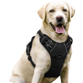 Rabbitgoo No-Pull harness front view with dual leash clips for control