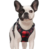 rabbitgoo dog harness no-pull front view with secure chest clip for training