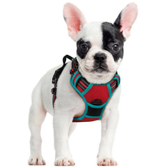Rabbitgoo dog harness no-pull overview with dual clips for safer walks.