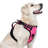 Rabbitgoo dog harness pink no-pull vest emphasizes secure fit for large dogs.