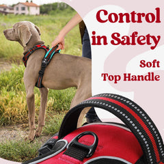 Rabbitgoo harness reflective stitching boosts visibility during night walks.