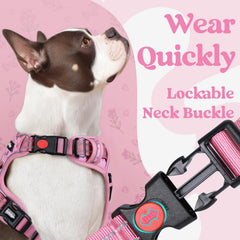 rabbitgoo reflective stitching on harness enhances night visibility for safe strolls.