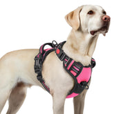 Rabbitgoo dog harness back view shows 3-buckle design for quick on/off
