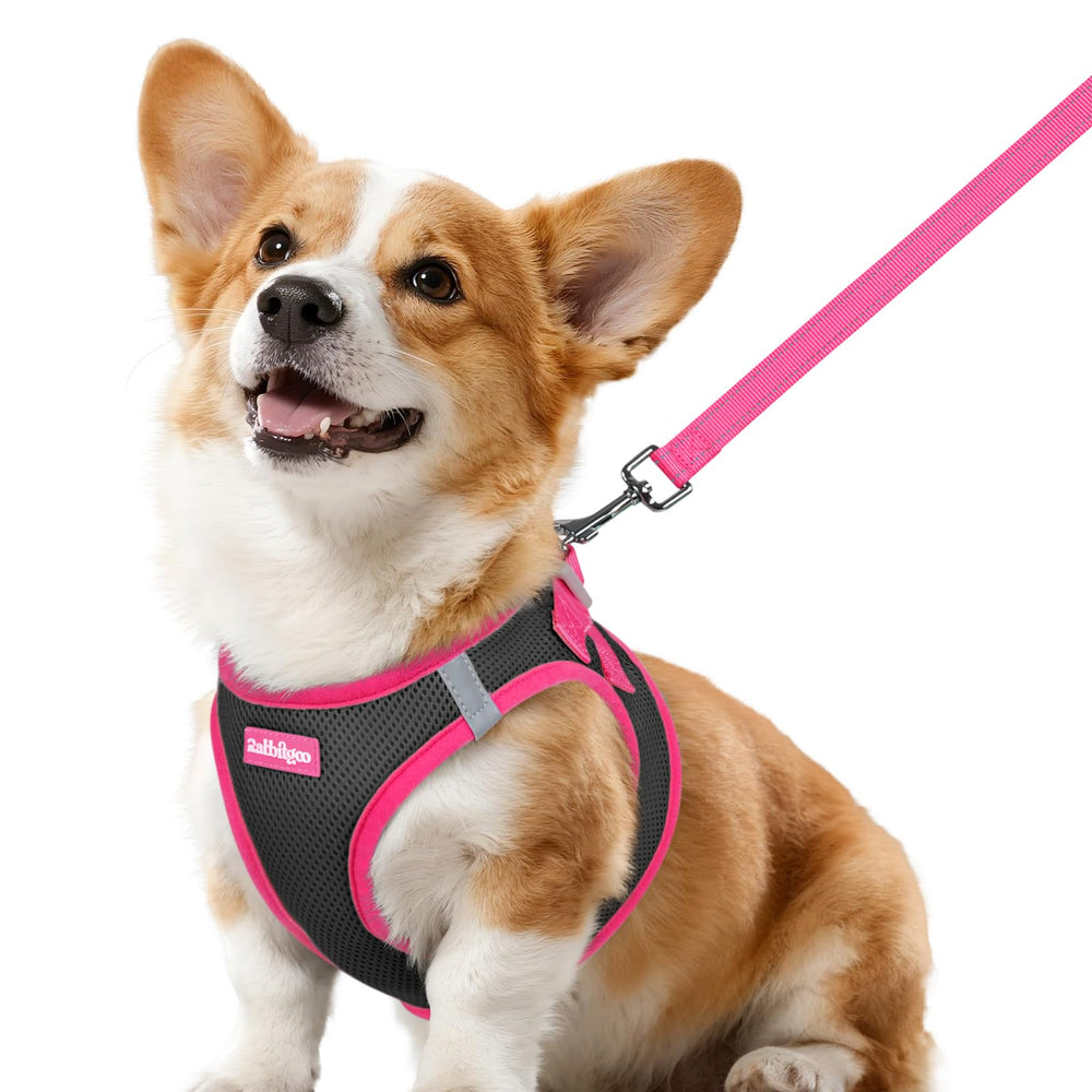 Rabbitgoo dog harness small size back view for secure daily wear.