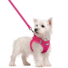 Rabbitgoo dog harness small step-in design in rose red improves ease of use for daily walks.