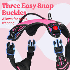 Rabbitgoo dog harness soft padded handle offers grip-friendly control on walks.